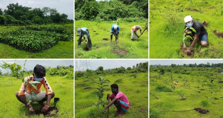 “On International Day of Forests, we must counter climate change with eco-sensitive plantation drives,” says an environment expert.