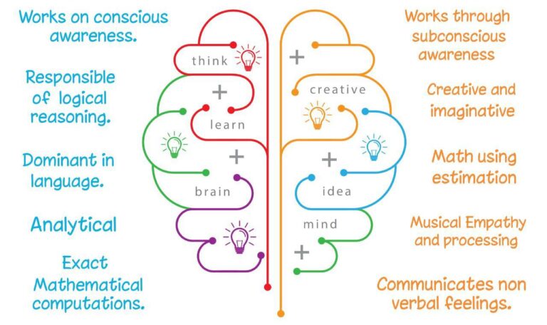 What is right brain education? Why is it important ? – A complete guide