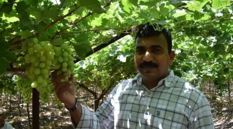 How Vilas Shinde built Rs525cr Sahyadri Farms with Rs.1lac to better the lives of 10,000 farmers