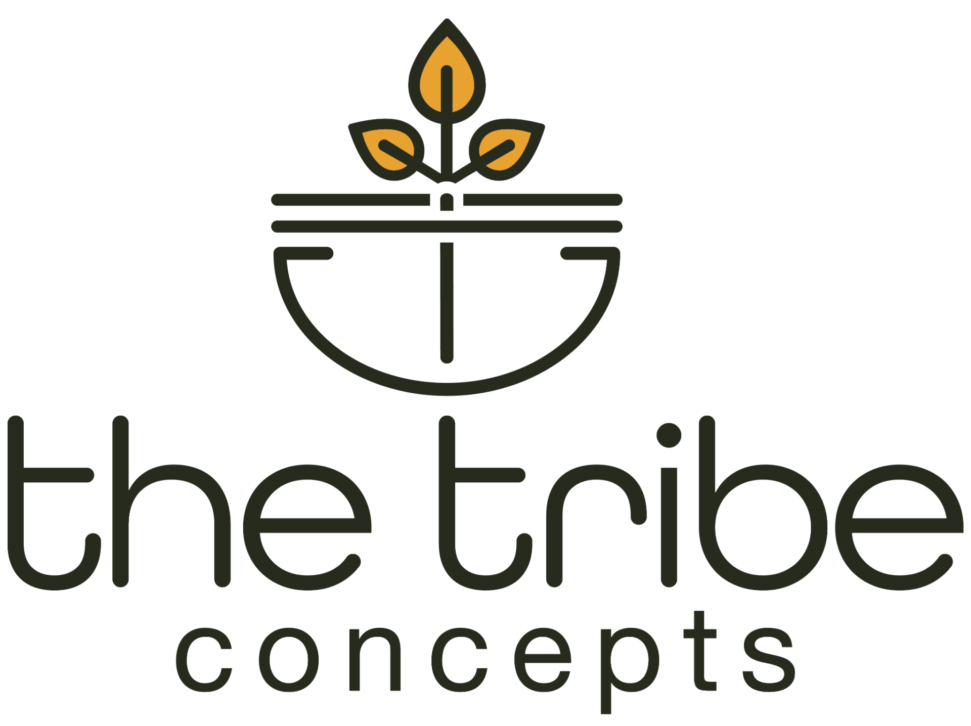 Meet Ms. Amritha Gaddam, CEO and Founder of The Tribe Concepts