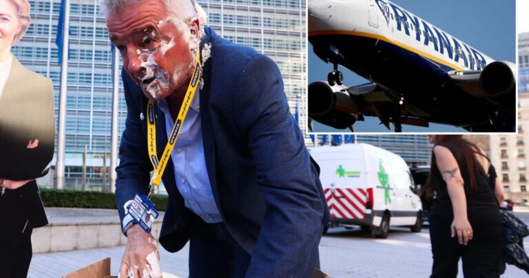 Ryanair CEO Michael O’Leary hit in face with pie by environmental protesters