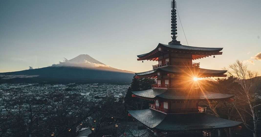 50 rising startups in Japan
