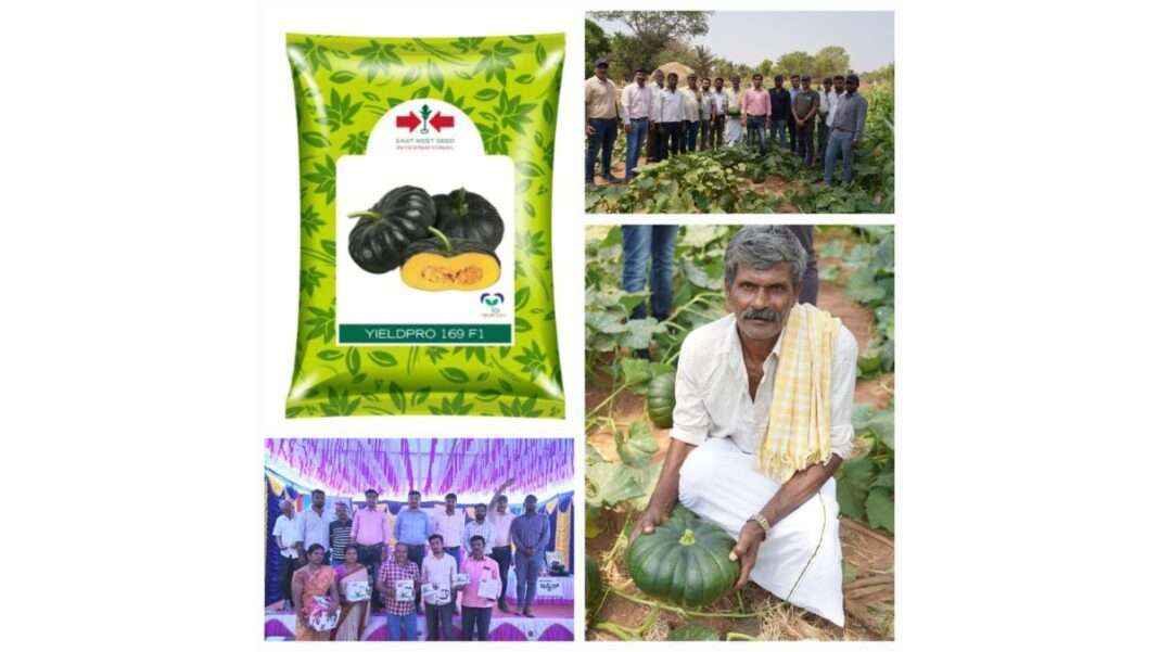 East-West Seed India Launches High-Yielding Hybrid Pumpkin, Yieldpro 169, Promising More Prosperity For Smallholder Farmers