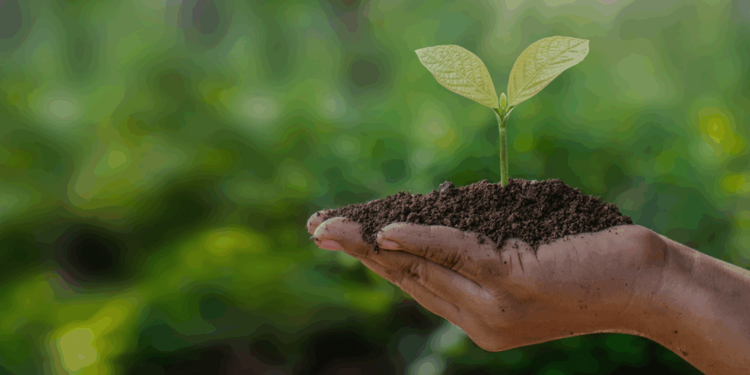 15 Environmental Innovations in India Inspiring the Next Generation of Green Entrepreneurs