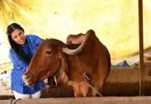 In Conversation with Nidha Patel Founder MorningWale: Revolutionizing Farm-to-Table with Technology, Medicinal Groceries, and Farmer Empowerment”