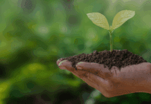 15 Environmental Innovations in India Inspiring the Next Generation of Green Entrepreneurs